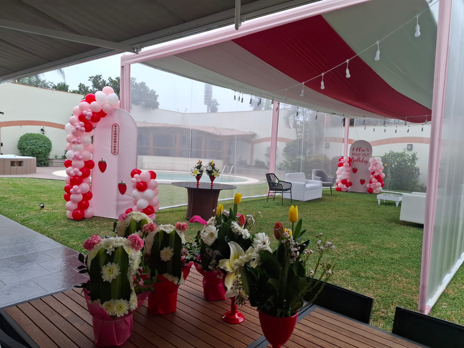 WhatsApp Image 2026-01-17 at 11.21.03 AM