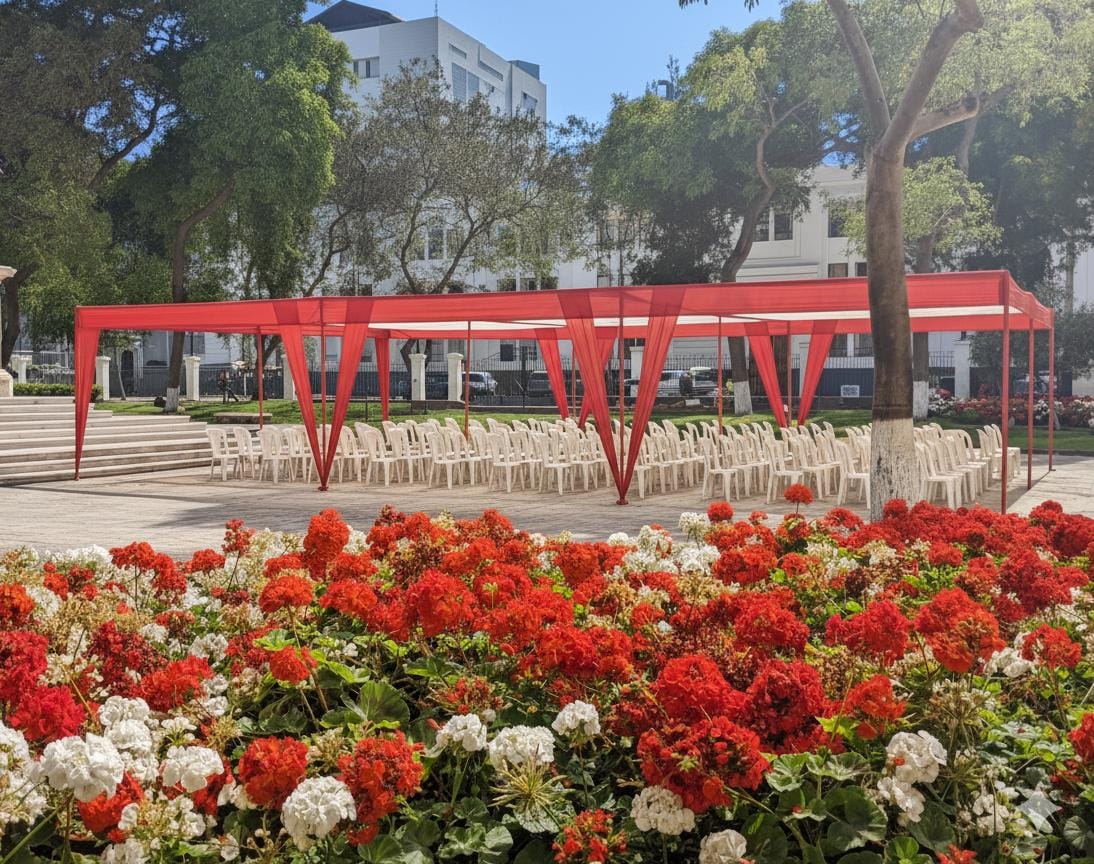 WhatsApp Image 2026-01-17 at 11.22.27 AM